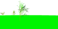 2012-p17-trees.png